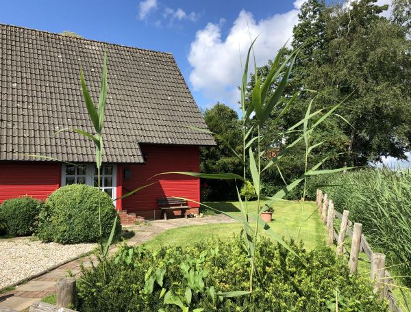 Das Dümmer-Ferienhaus liegt mitten im Grünen.
