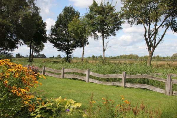 Vom Ferienhaus blicken Sie direkt aufs Naturschutzgebiet „Zur hohen Sieben“.